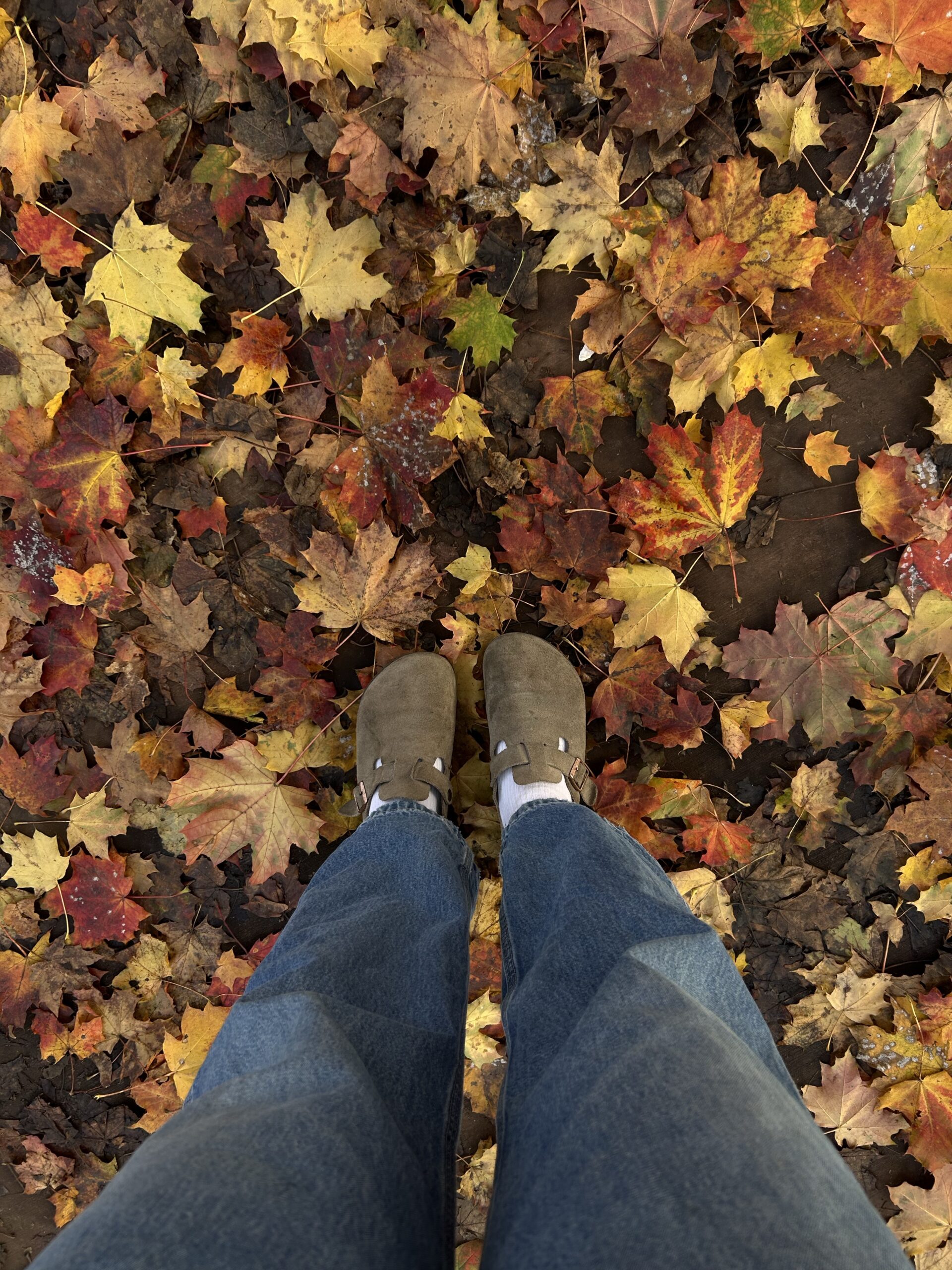 Autumn